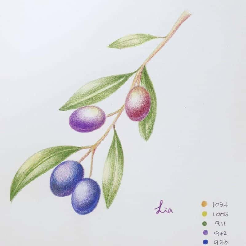 색연필 꽃그림 그려요^^(보태니컬 아트) 사진 8