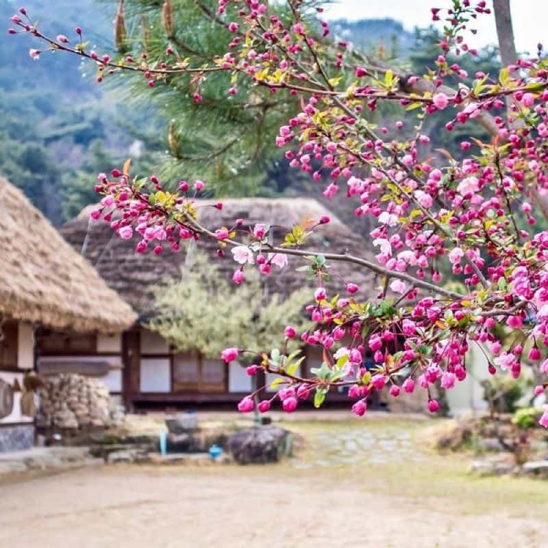 [1박/남원] 매월당, 자연 속 독채 한옥 사진 6