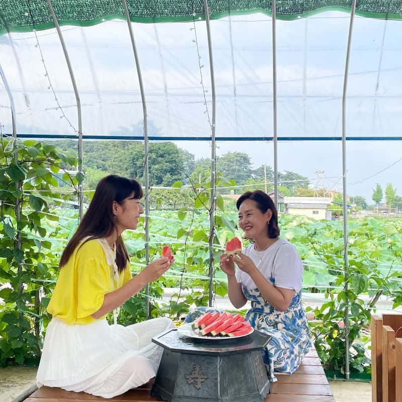 [1박/김제] 연팜, 연잎밥체험+식사2끼+찜질+사찰투어 사진 6