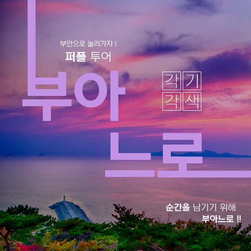 [1박/부안] 부아느로 찍으러 가는 퍼플투어 (기획전)