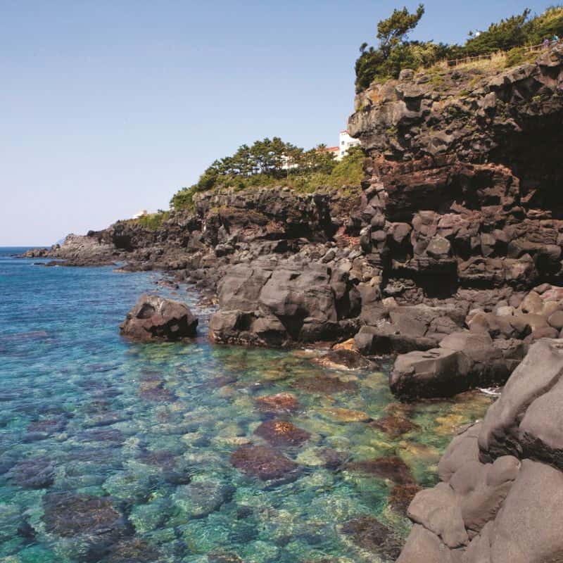 [서귀포] 정원 속 피크닉+블루베리 잼 만들기 사진 2