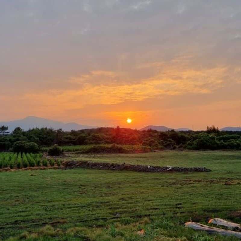 [서귀포] 정원 속 피크닉+블루베리 잼 만들기 사진 6