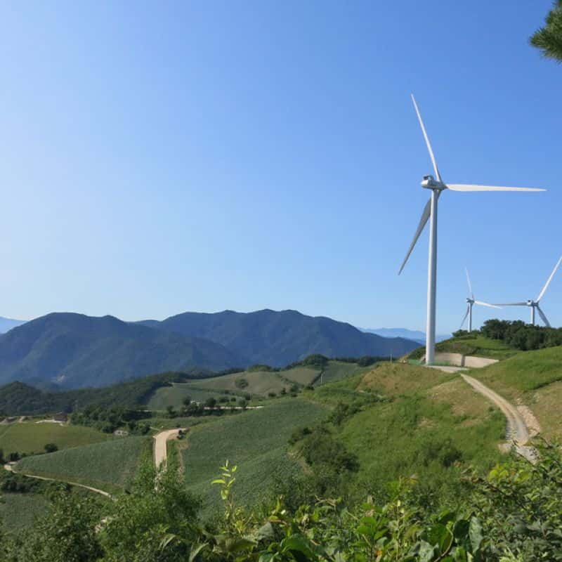 [평창] 명소 뚜벅이 여행 : 대관령목장, 발왕산 사진 5