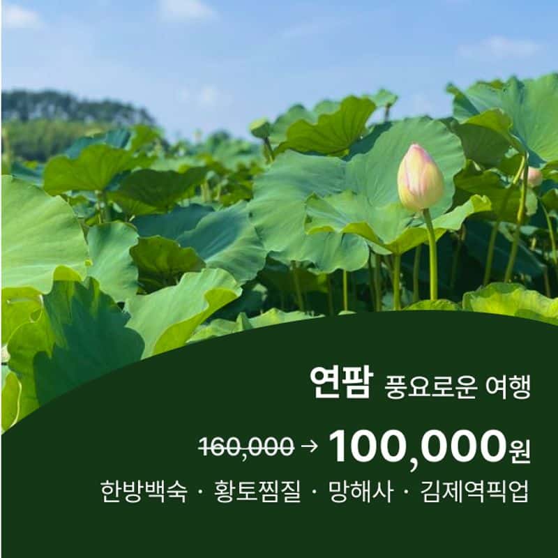 [1박/김제] 연팜, 연잎밥체험+식사2끼+찜질+사찰투어 사진 1