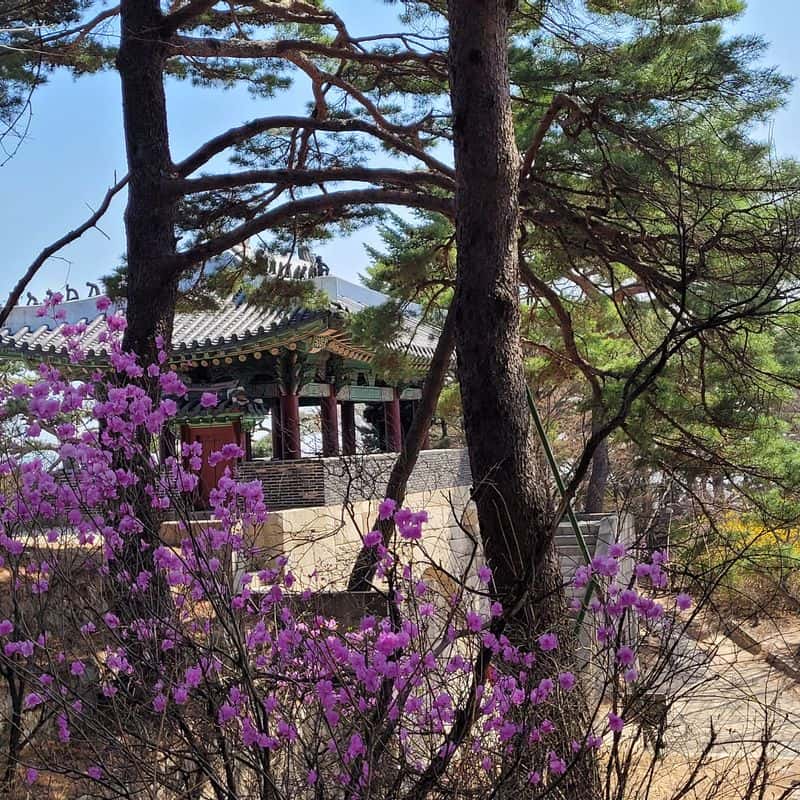 [당일/서울] 한양도성 완주하기 사진 8