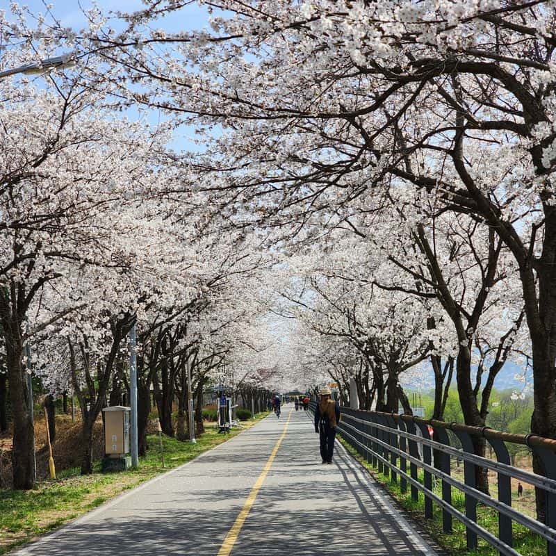 [당일/양평] 10km 물소리길, 걷고 먹고 쉬고 놀고 사진 8