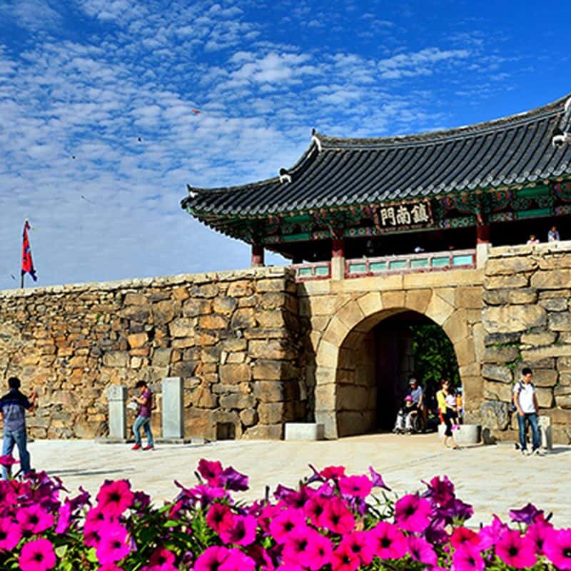 [당일/태안] 수국축제+해미읍성+서산마애삼존불상 사진 4