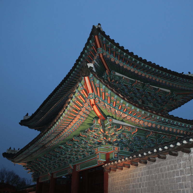 [종로] 창경궁, 대온실 야간개장과 인생샷 사진 3