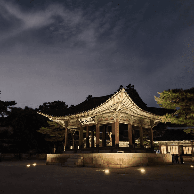 [종로] 창경궁, 대온실 야간개장과 인생샷 사진 5