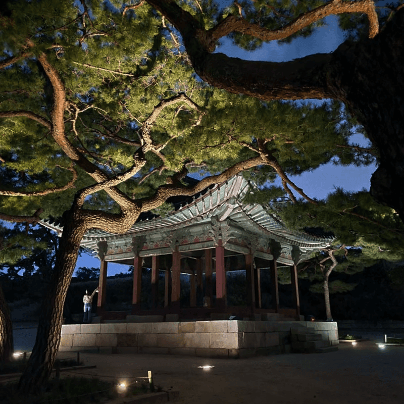 [종로] 창경궁, 대온실 야간개장과 인생샷 사진 6