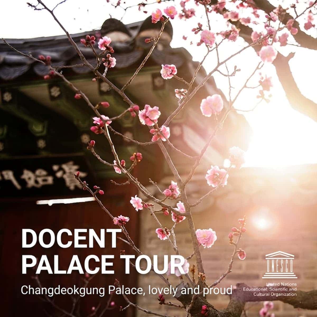 [Day pass/Seoul] Changdeokgung Palace, the Palace Loved by Kings photo 1
