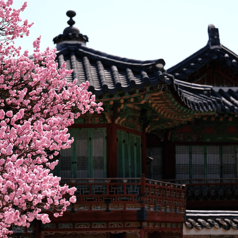 [당일/서울] 창덕궁, 왕이 사랑한 궁궐 사진 2