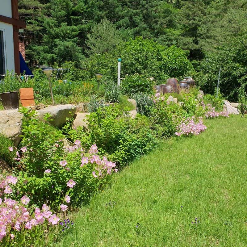 [봉화] 마당이 보이는 침실, 프라이빗+노래방+조식 사진 3
