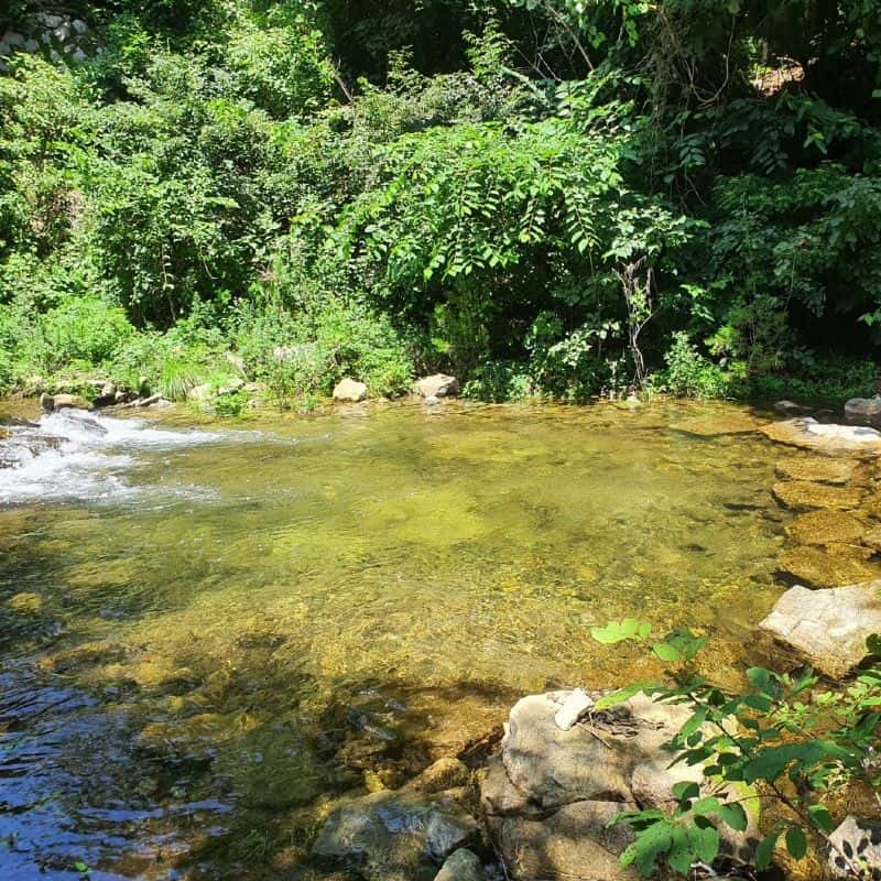 [봉화] 마당이 보이는 침실, 프라이빗+노래방+조식 사진 4