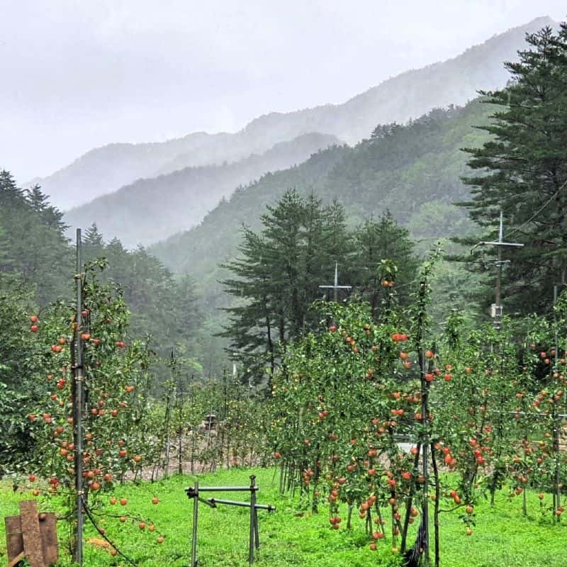 [봉화] 마당이 보이는 침실, 프라이빗+노래방+조식 사진 5