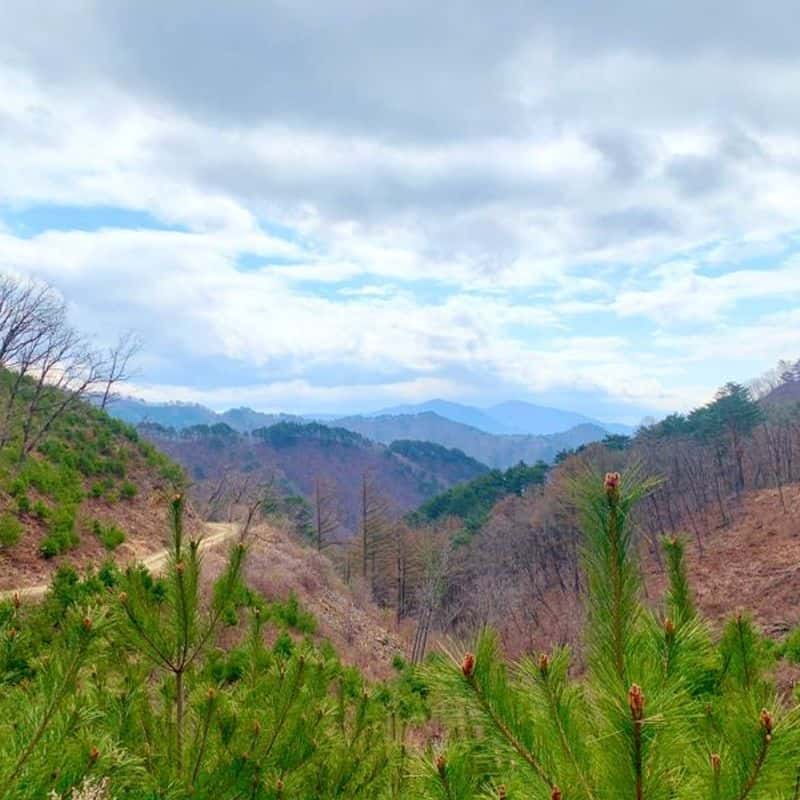 [봉화] 마당이 보이는 침실, 프라이빗+노래방+조식 사진 6