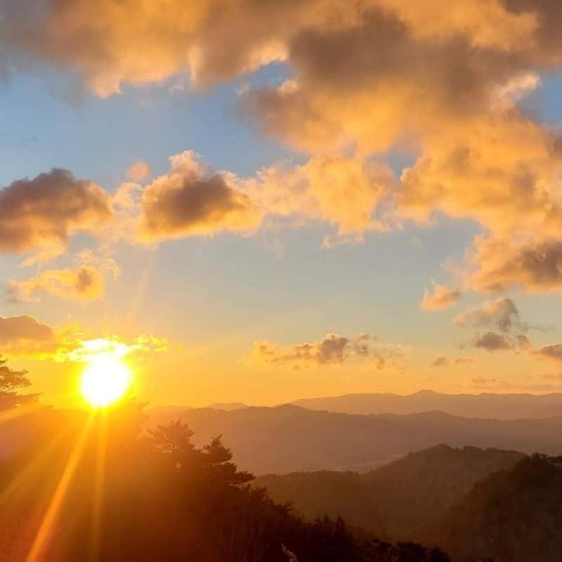[1박/강릉] 안반데기, 차박+반려견동반+은하수 사진 3
