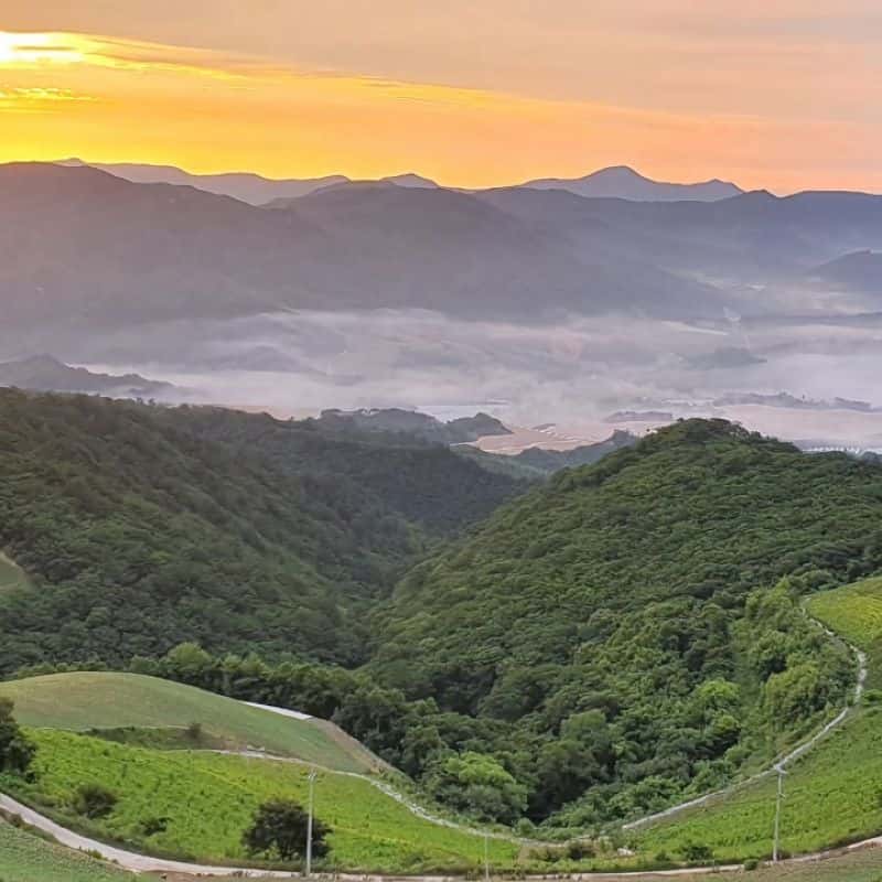 [1박/강릉] 안반데기, 차박+반려견동반+은하수 사진 6
