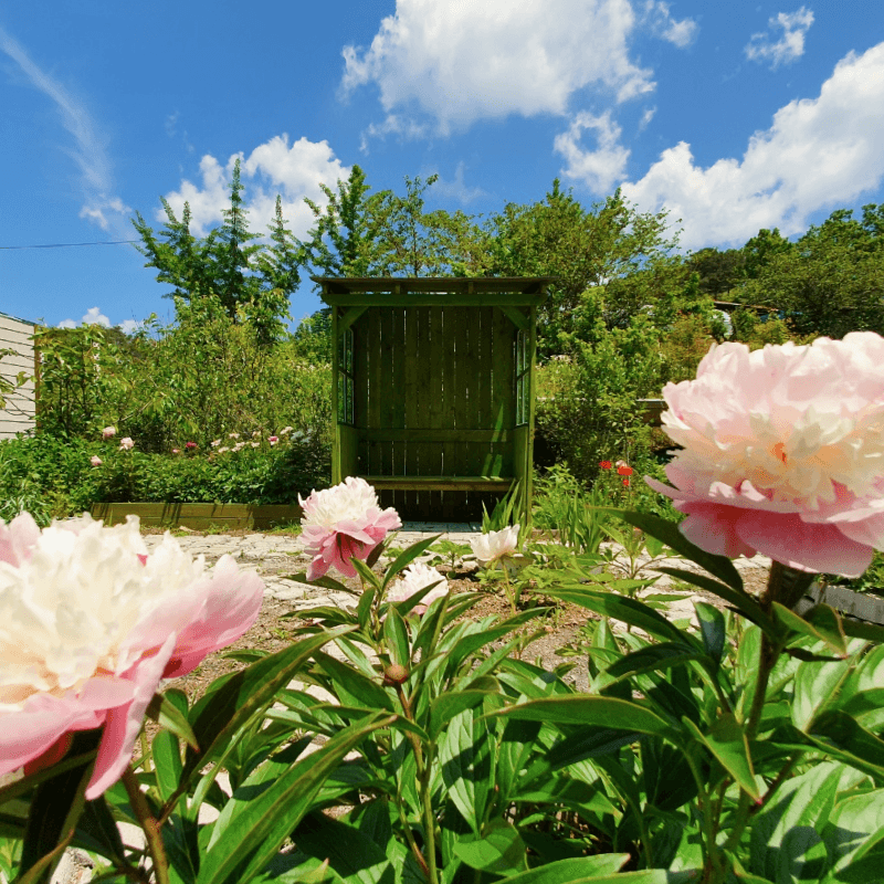 [청양] 오직 하루 한팀, 베이킹+화덕바베큐+불멍 사진 3