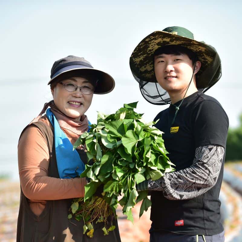 [무안]약선장아찌체험+바베큐석식+고구마죽+문학체험(시) 사진 8