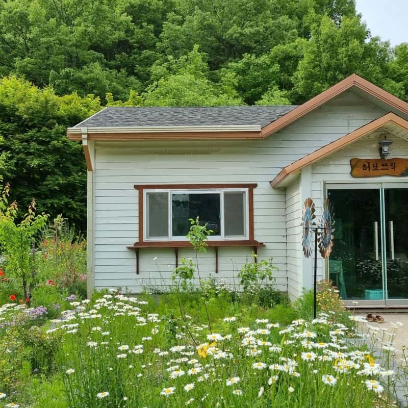 [화순] 허브농원, 허브오일체험+식사2끼+숙소 사진 5