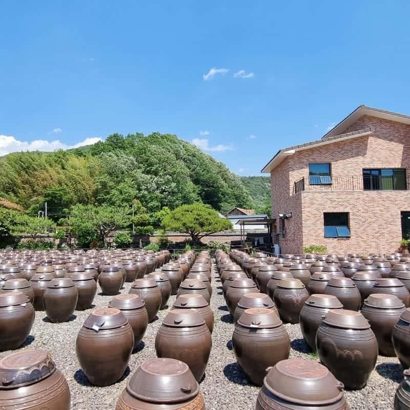 [고성] 醬의 모든 것, 매실고추장 담기+식사2끼+숙소 사진 1