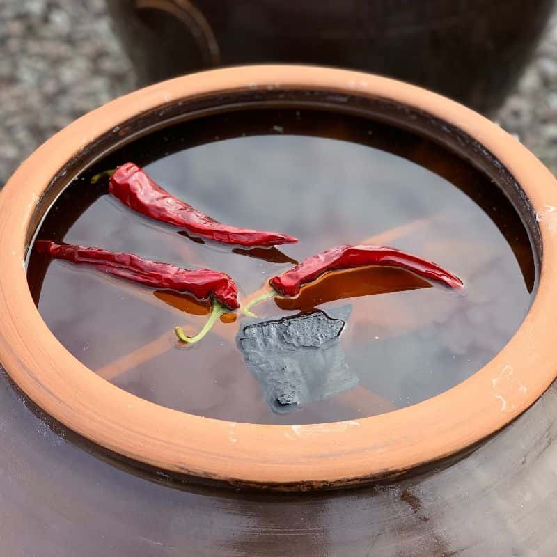 [고성] 醬의 모든 것, 매실고추장 담기+식사2끼+숙소 사진 4