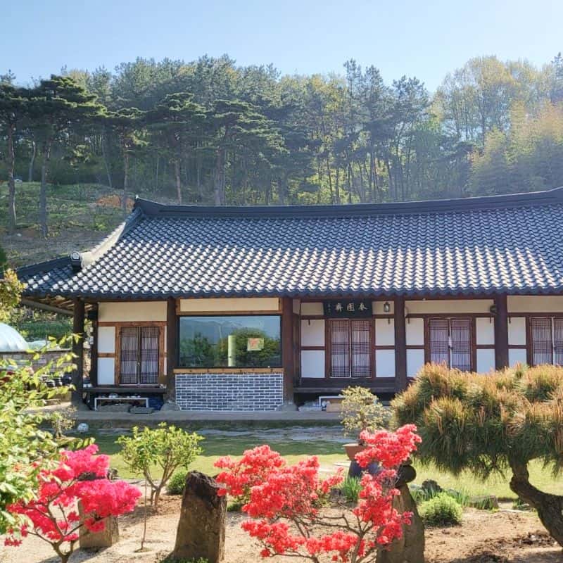 [고창] 애견동반+한옥스테이+픽업 사진 1