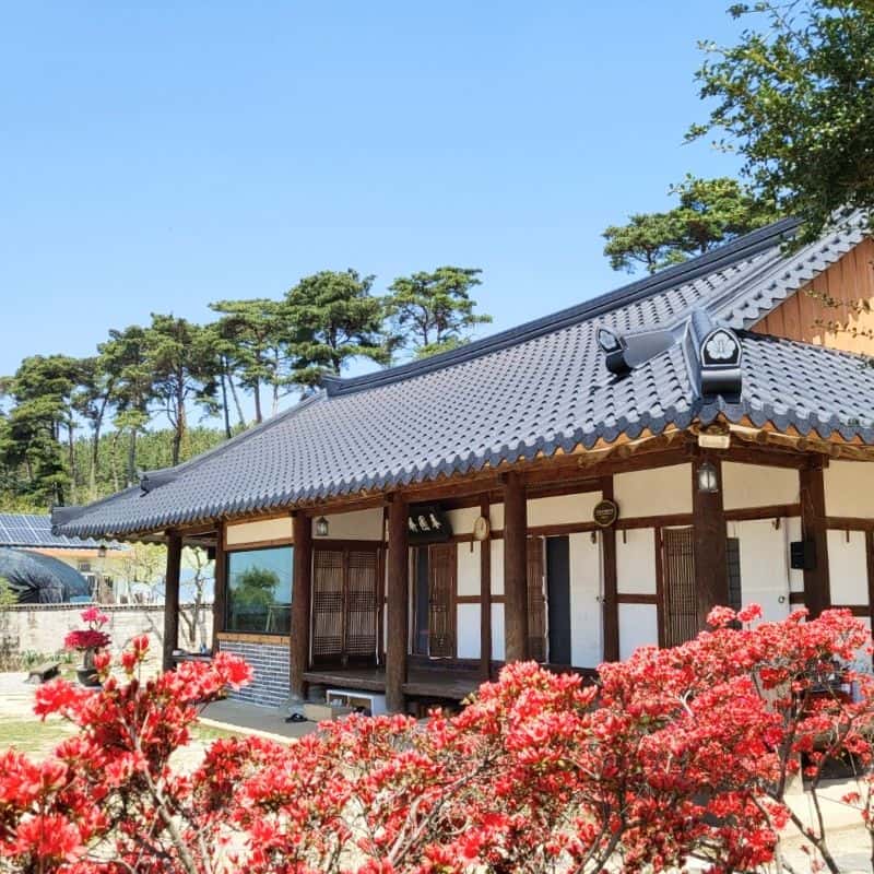 [고창] 애견동반+한옥스테이+픽업 사진 2