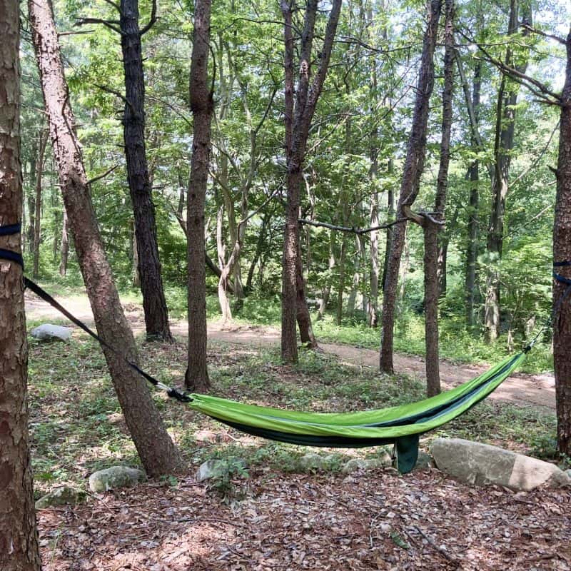 [완주] 대한민국 8대 명당, 공연관람+숲해설+식사2끼 사진 7