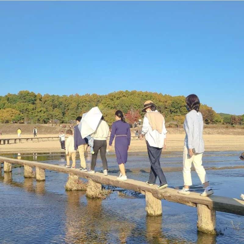 [영주] 녹원재, 한옥숙소+조식포함+무섬마을 투어 사진 6