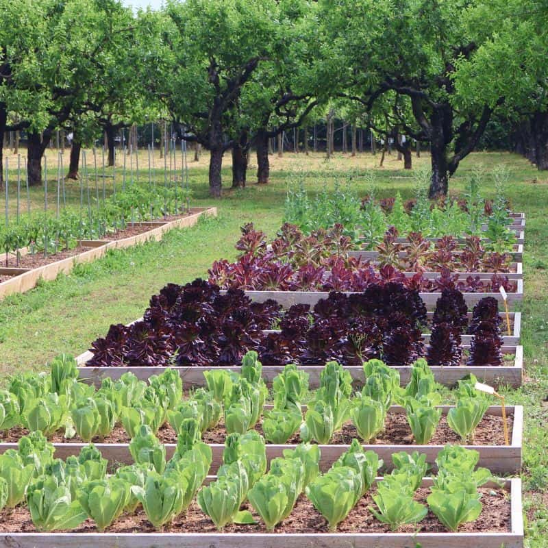 [경산] 바람햇살, 오직 한 팀을 위한 휴식공간 사진 7