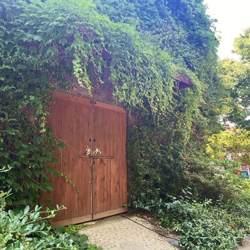 [북구] 도자기 공예+숲해설+조식(추가금:토종닭백숙) 사진 3