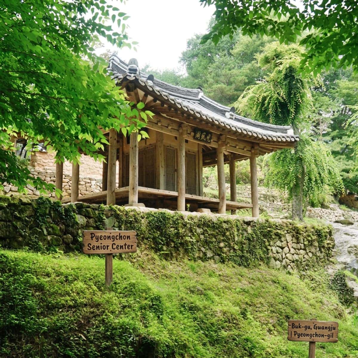 [Buk-gu] Ceramic Craft + Forest Commentary + breakfast (Additional charge: Native Chicken Baeksuk) photo 8