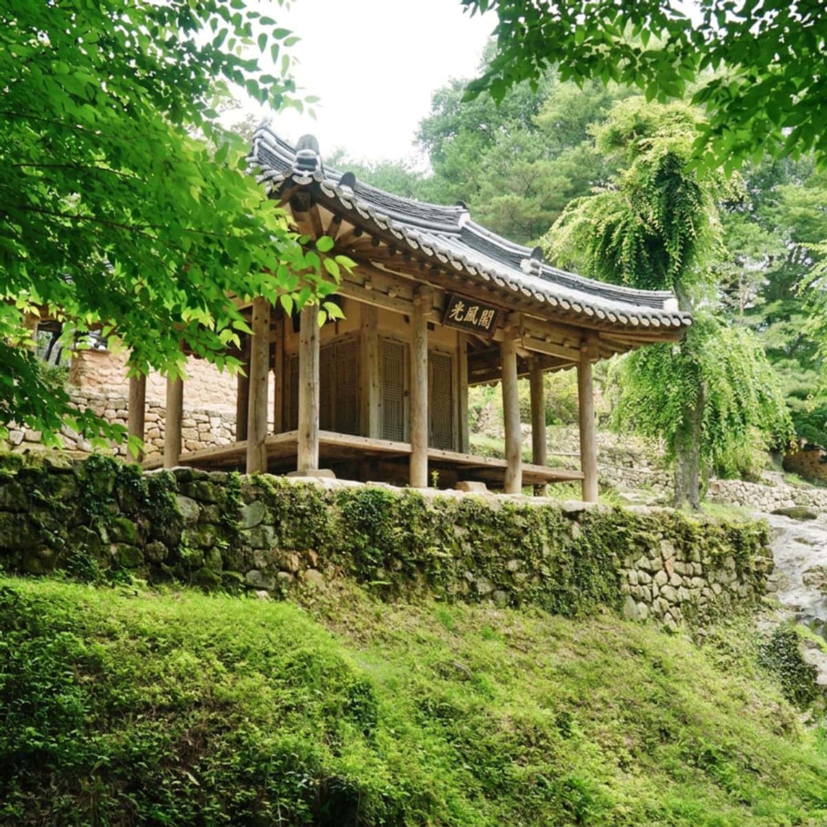 [北区] 陶芸体験+森の解説+朝食(追加料金:トジョンタッペクス (Tojong-dakbaeksuk / 韓国風丸鶏の水炊き))の写真8