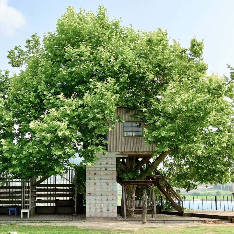 [고창] 책출판체험+조식포함+해넘이 사진 1