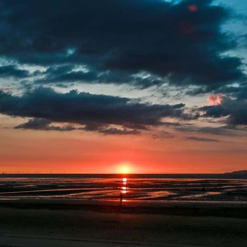 [고창] 책출판체험+조식포함+해넘이 사진 8