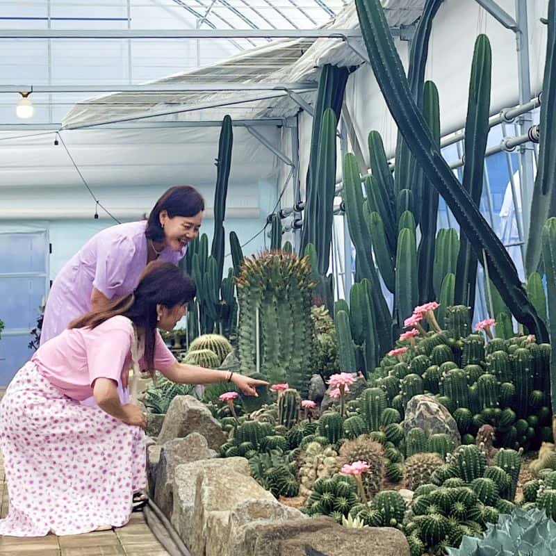 [김제] 갤러리다육정원, 꽃가방공예+식사2끼+독채숙소 사진 1