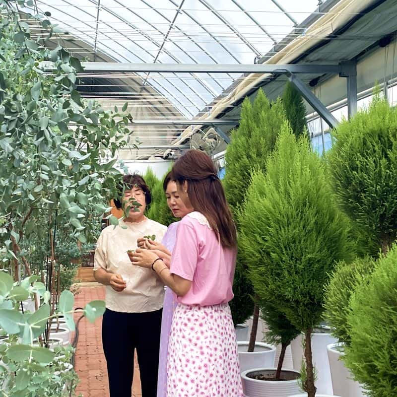 [김제] 갤러리다육정원, 꽃가방공예+식사2끼+독채숙소 사진 2