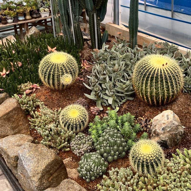 [김제] 갤러리다육정원, 꽃가방공예+식사2끼+독채숙소 사진 6