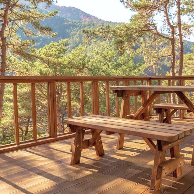 [고성/1박] 숲속 깊은 곳에서 경험하는 치유의 시간 사진 5