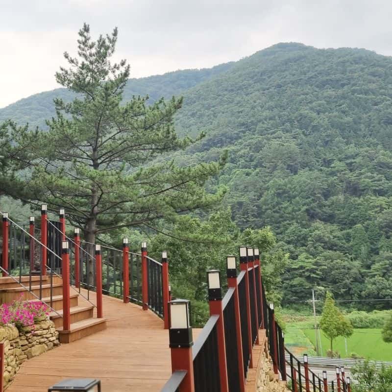 [고성/1박] 숲속 깊은 곳에서 경험하는 치유의 시간 사진 6