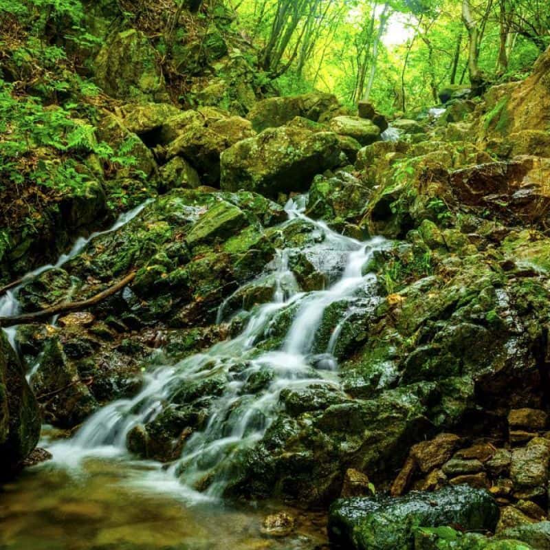 [고성/1박] 숲속 깊은 곳에서 경험하는 치유의 시간 사진 7