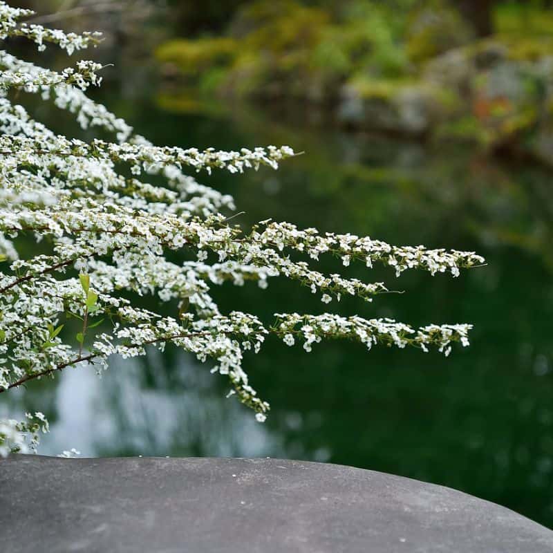 [금산] 자연이 아름다운 곳에서 모임, 워크샵 사진 2
