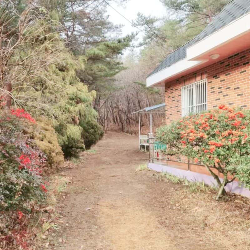 [울주] 와나스타, 편안한 숲속 독채 민박 사진 1