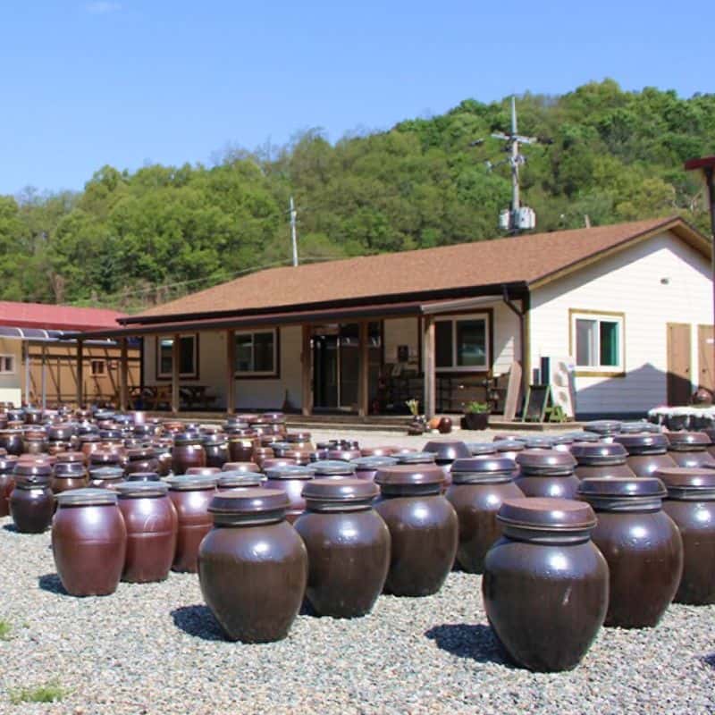 [충주] 식생활 개선+장 만들기 체험 사진 6