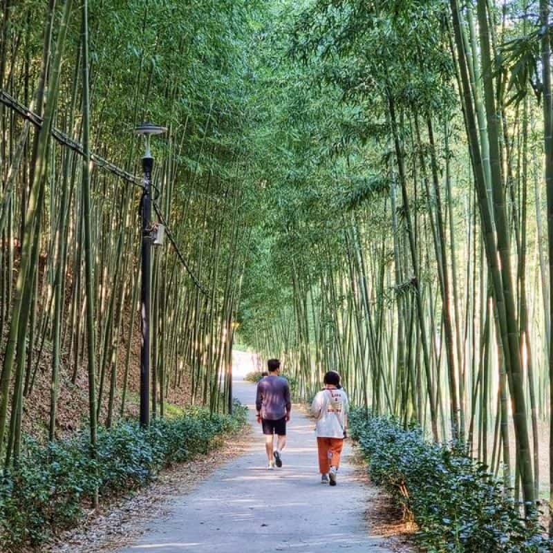 [구례] 주민 가이드와 함께하는 단독 가이드 투어 사진 4