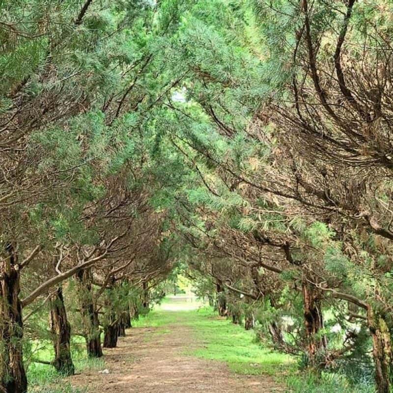 [구례] 주민 가이드와 함께하는 단독 가이드 투어 사진 5