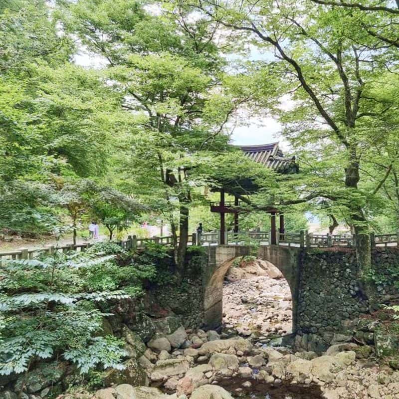 [구례] 주민 가이드와 함께하는 단독 가이드 투어 사진 6