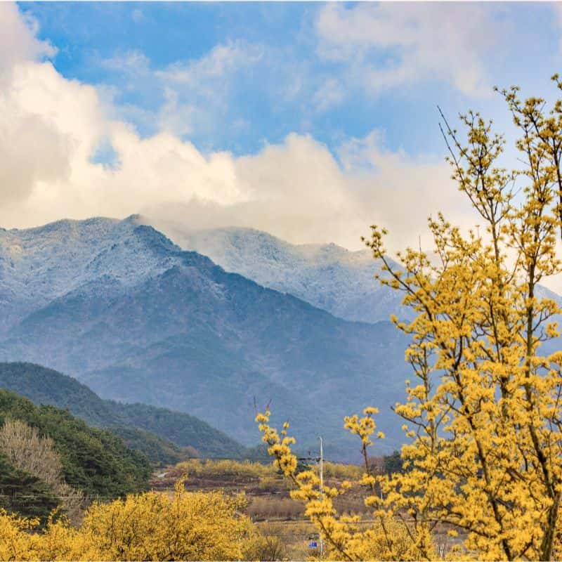 [구례] 주민 가이드와 함께하는 단독 가이드 투어 사진 7